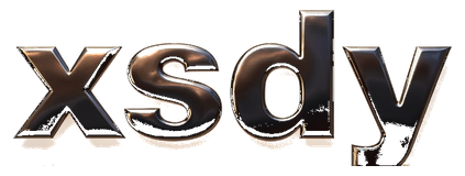 xsdy logo